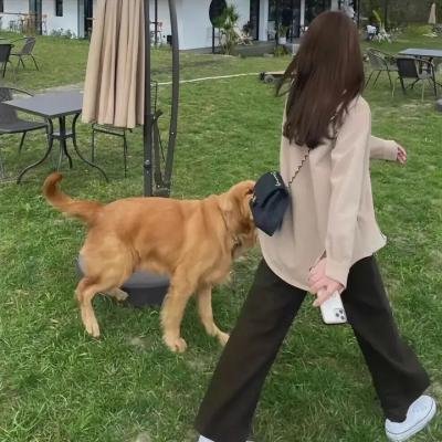 侠女传奇国语